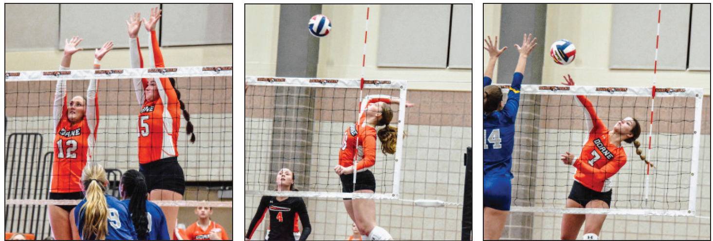 Volleyball loses close game at home