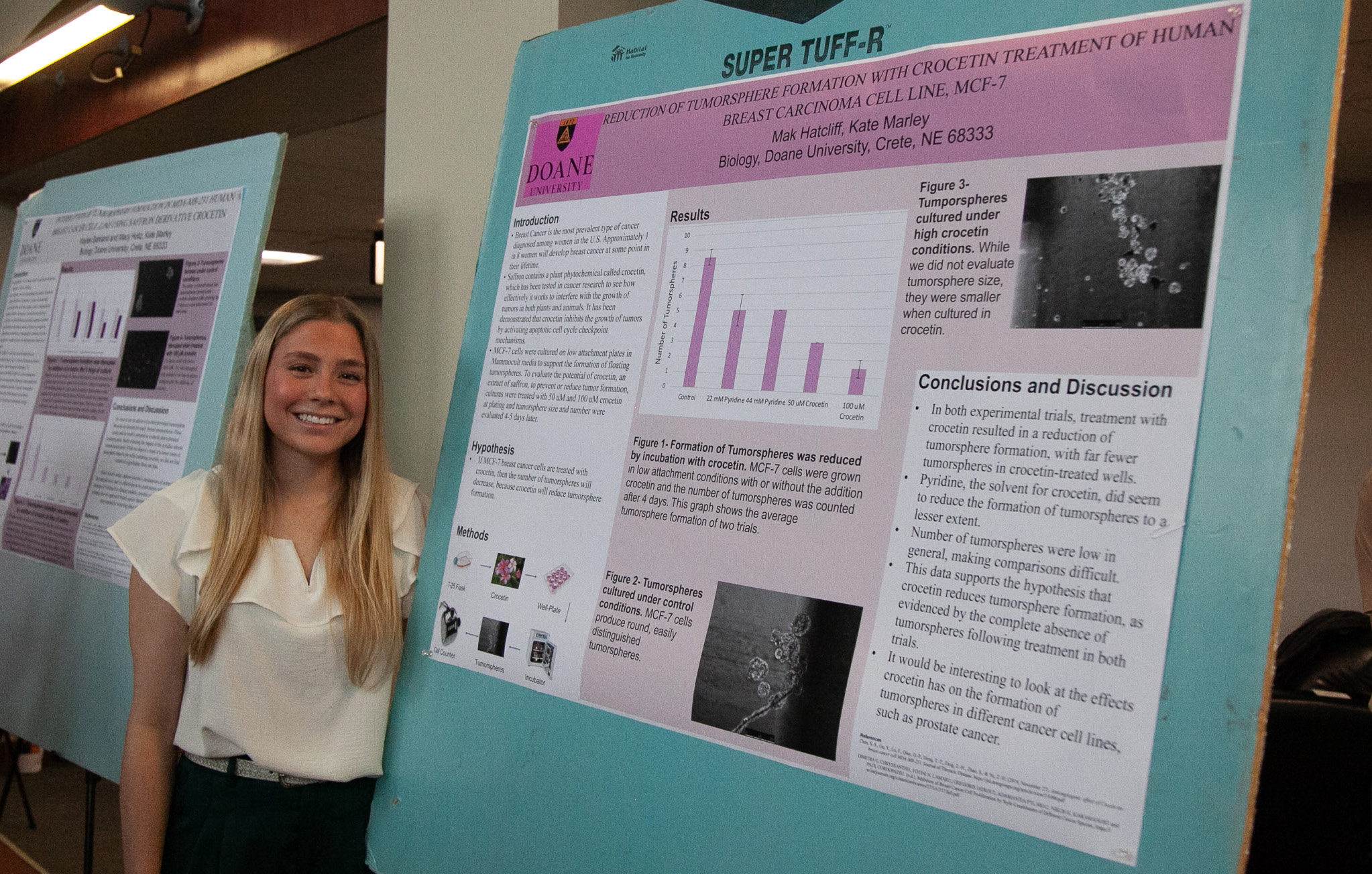 Students present research at annual MindExpo